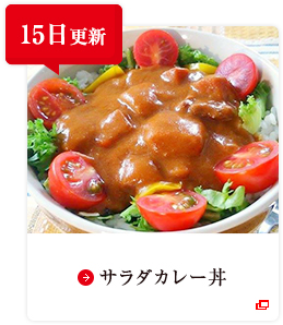 15日更新 サラダカレー丼