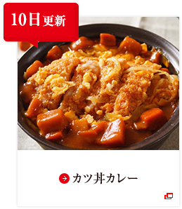 10日更新 カツ丼カレー